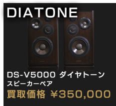 DS-V5000 ダイヤトーン スピーカーペア