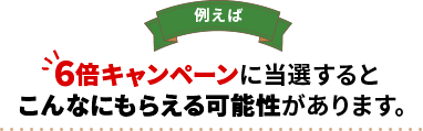 例えば... 6倍キャンペーンに当選するとこんなにもらえる可能性があります。